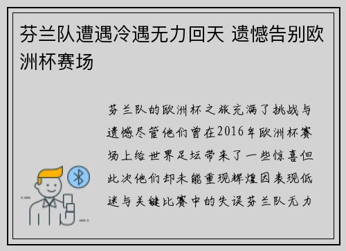芬兰队遭遇冷遇无力回天 遗憾告别欧洲杯赛场