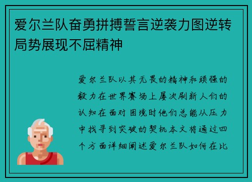 爱尔兰队奋勇拼搏誓言逆袭力图逆转局势展现不屈精神
