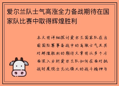 爱尔兰队士气高涨全力备战期待在国家队比赛中取得辉煌胜利